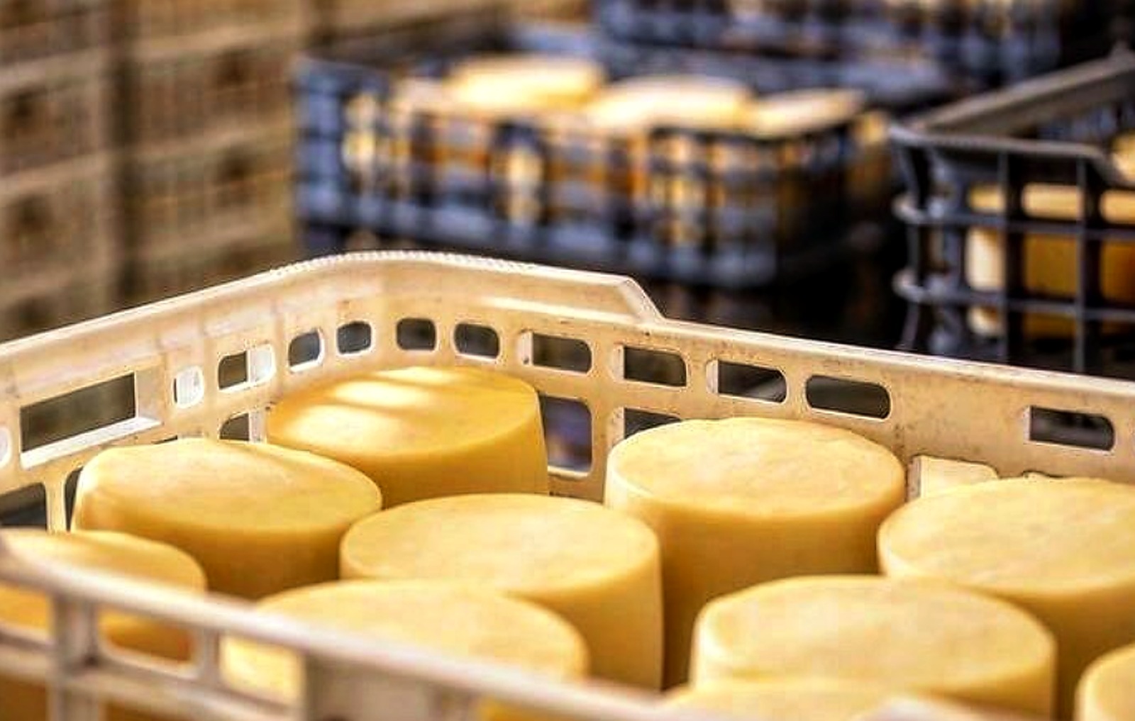 Queijos em uma caixa no mercado